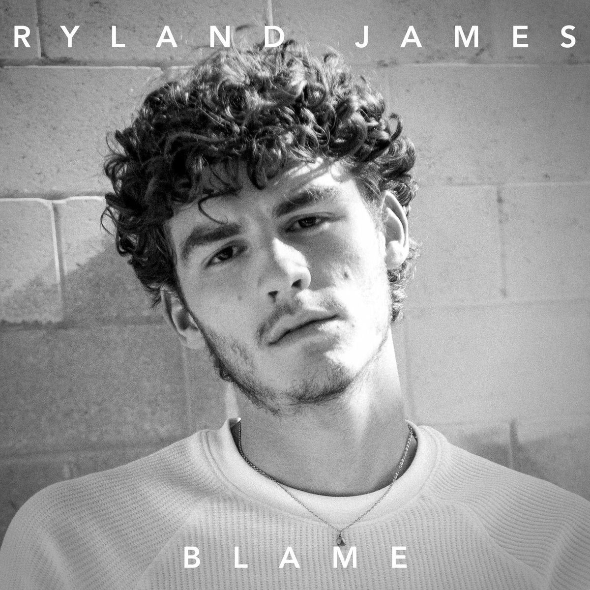 Album cover of Blame