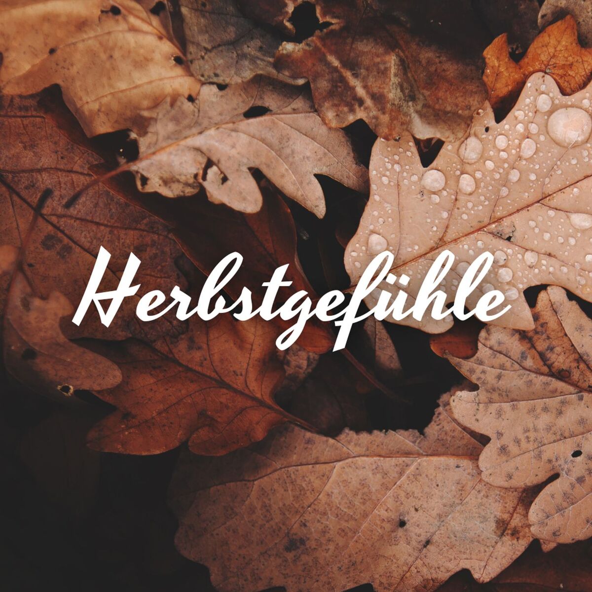 Album cover of Herbstgefühle 2024