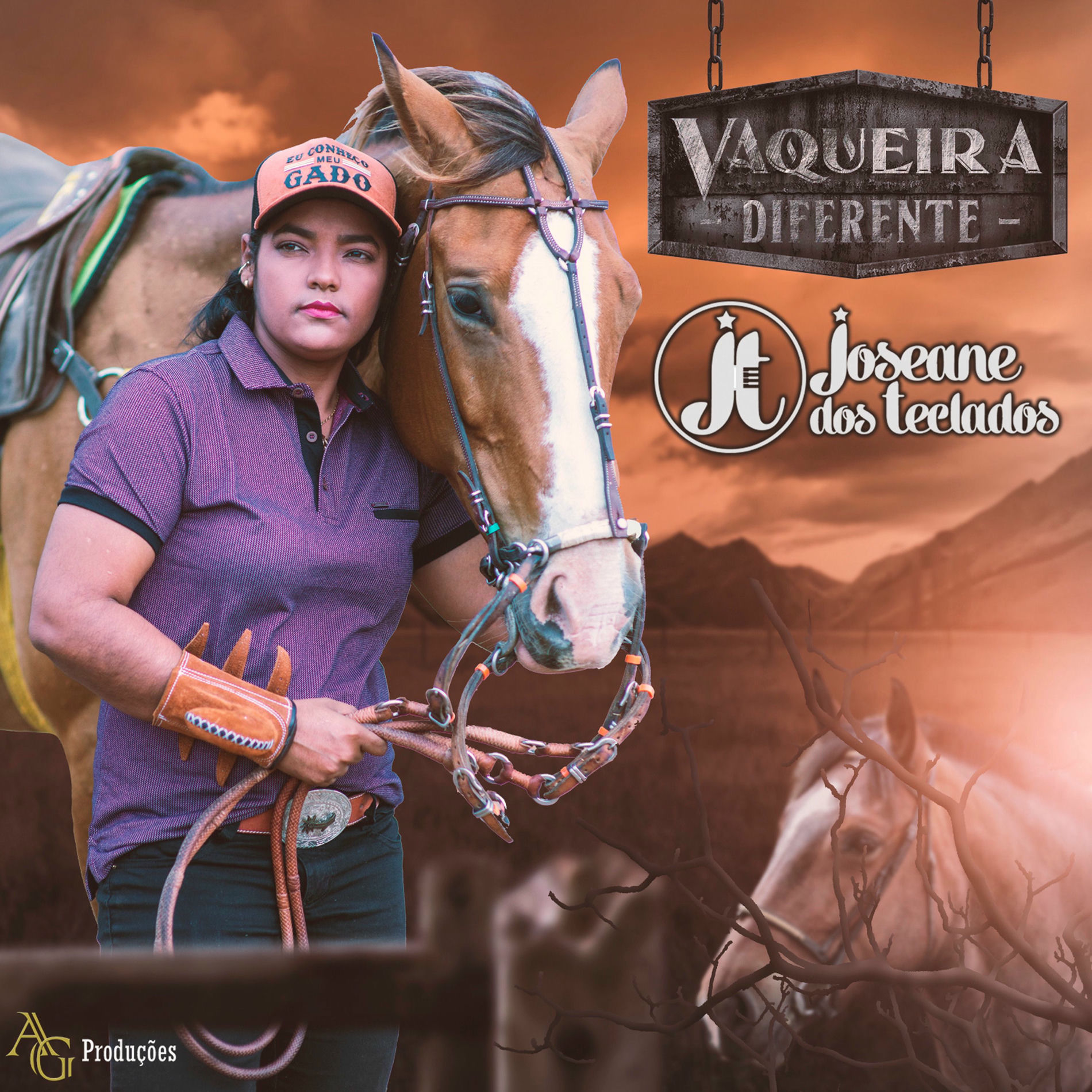 Album cover of Vaqueira Diferente