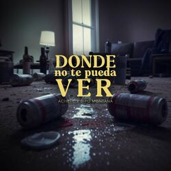 Cover of Donde No Te Pueda Ver