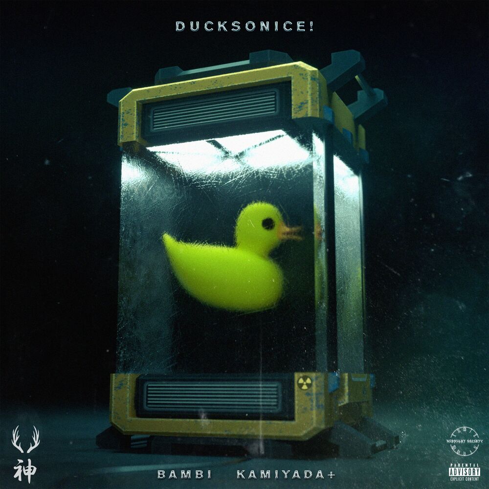 Picture of DUCKSONICE!