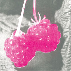 Cover of Welcome