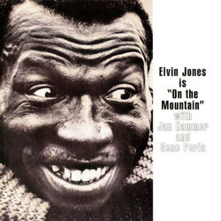 Cover of On the Mountain