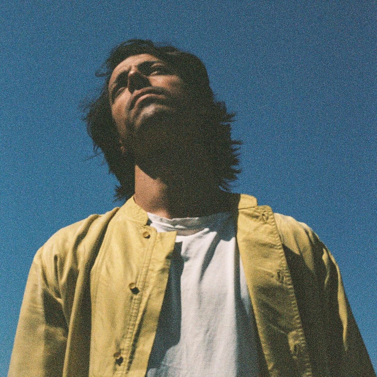 Album cover of Le vert et le bleu
