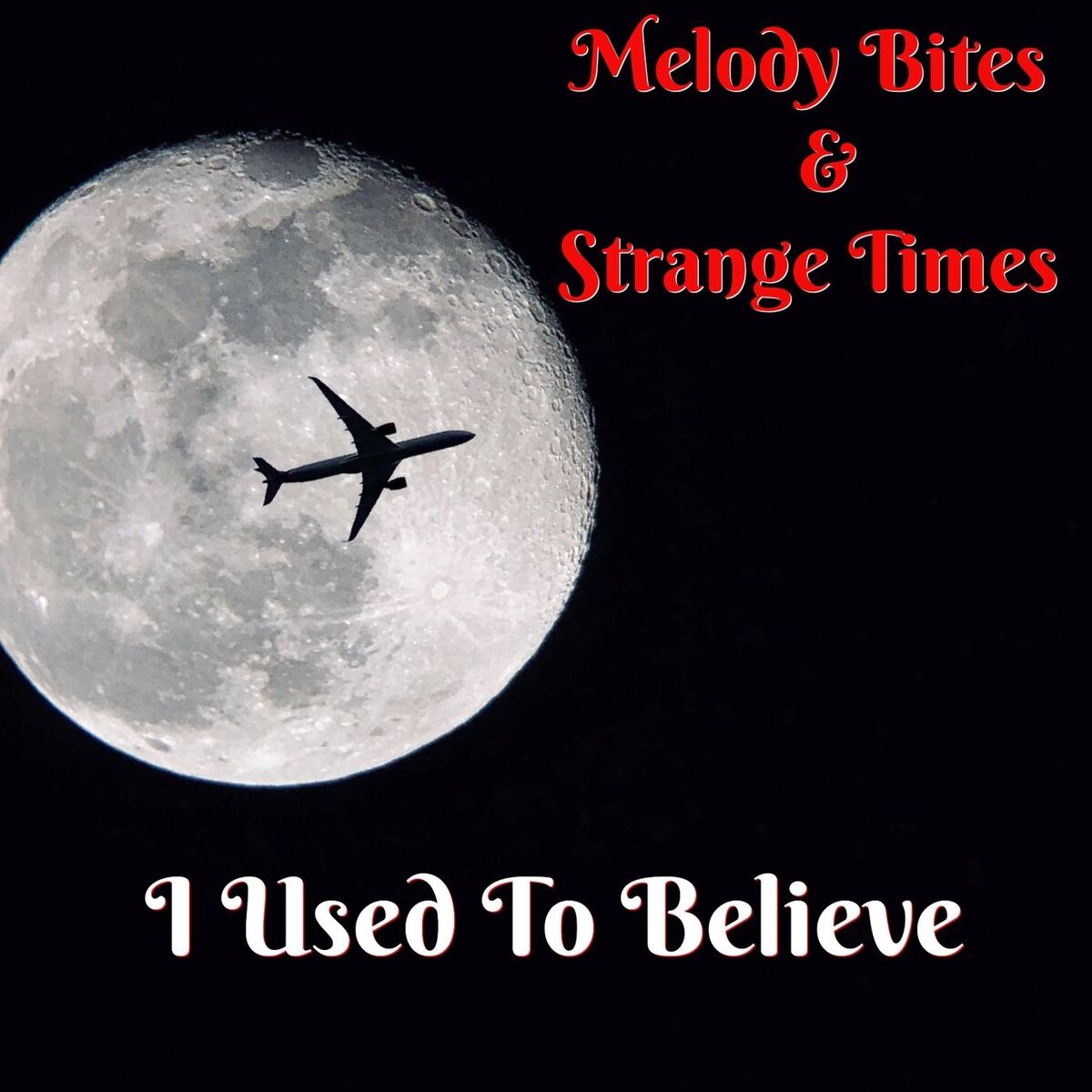 Album cover of I Used to Believe