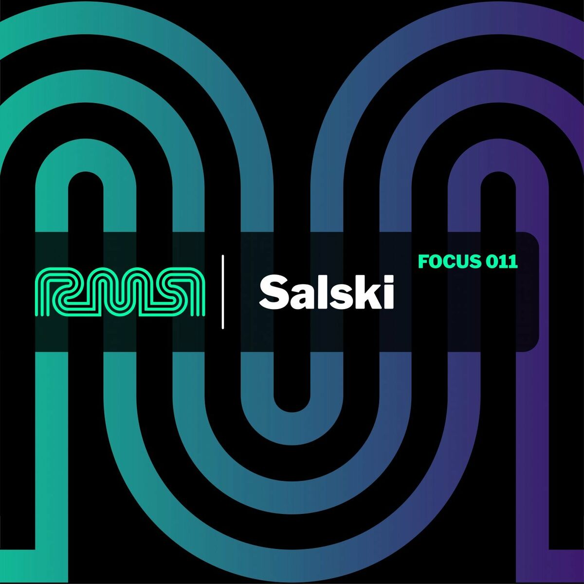 Album cover of Focus:011 (Salski)