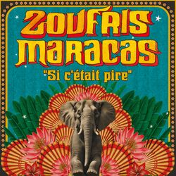 Cover of Si c'était pire