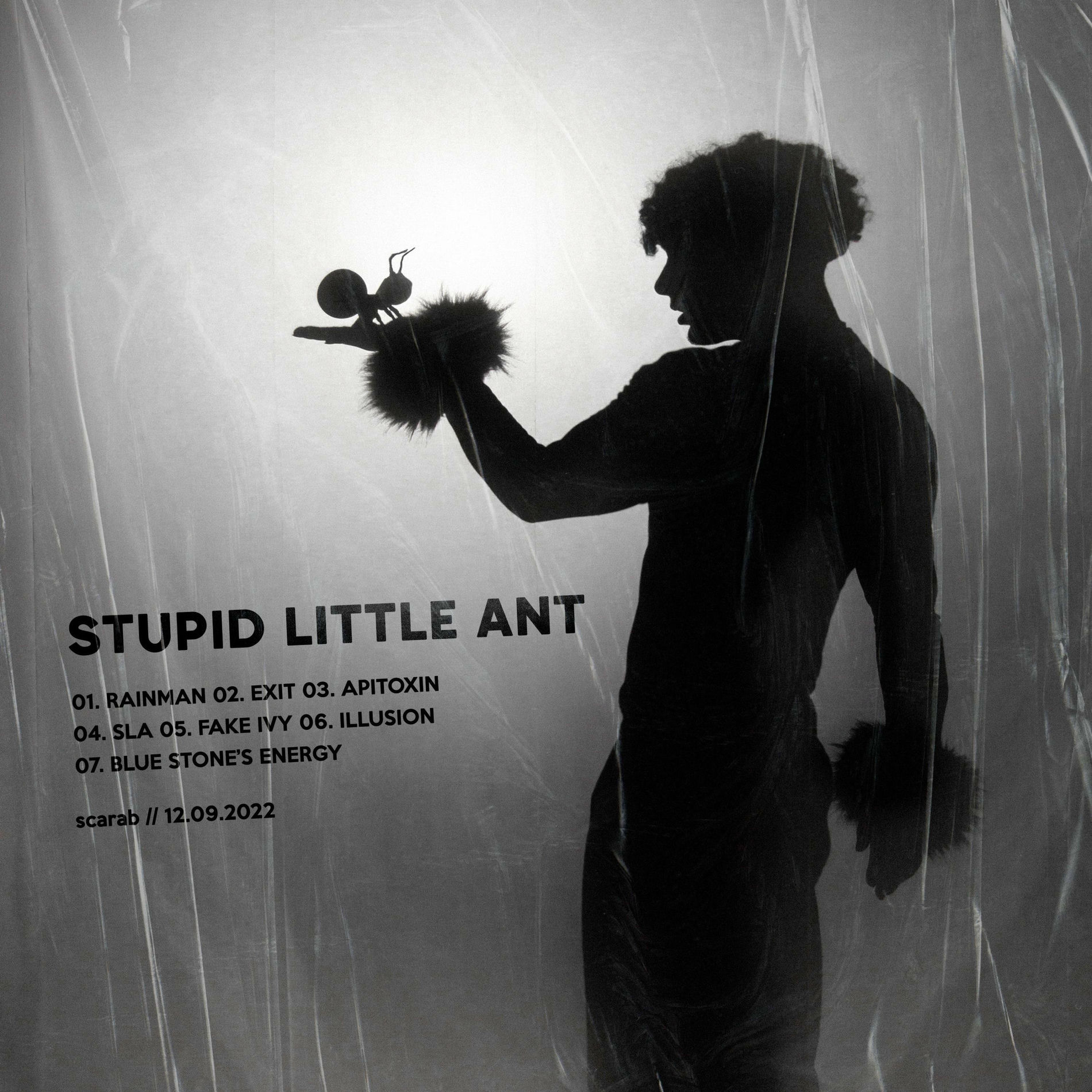 Album cover of stupid little ant