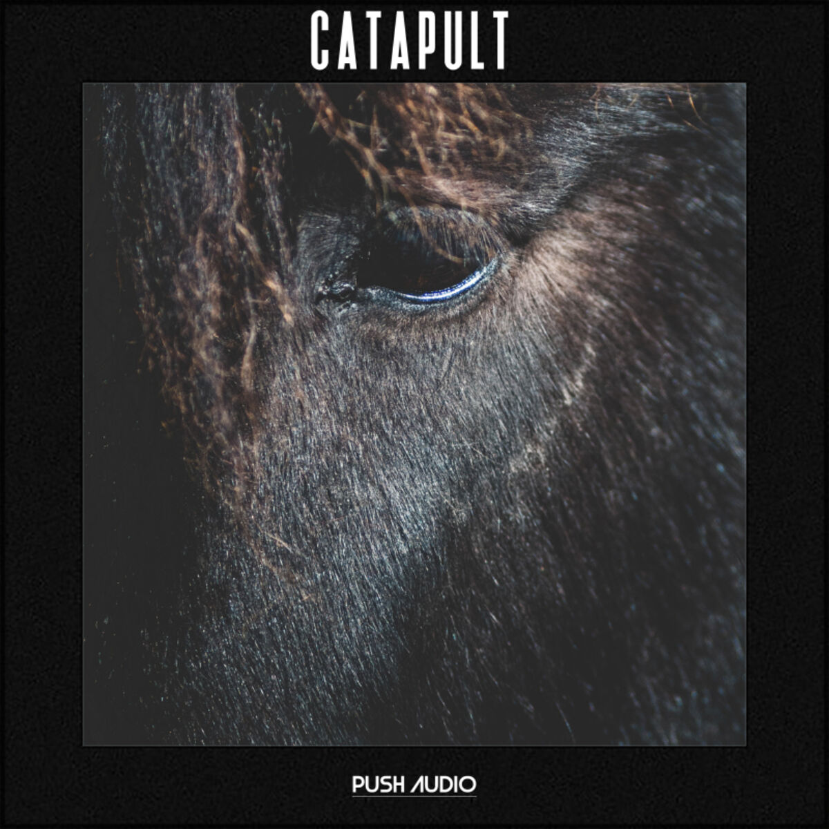 Album cover of Catapult
