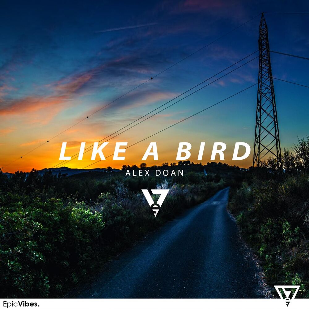 Picture of Like a Bird
