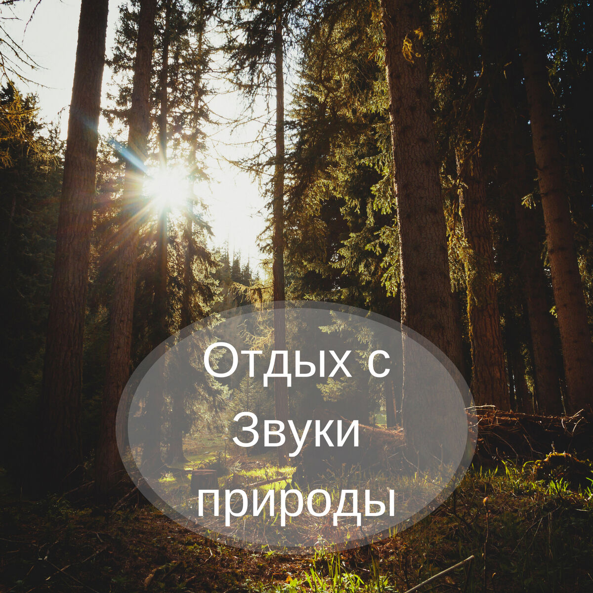 Album picture of Отдых с Звуки природы - Инструментальная музыка, Mузыкальная терапия, Pасслабляющие звуки, Пианино, Звуки сна