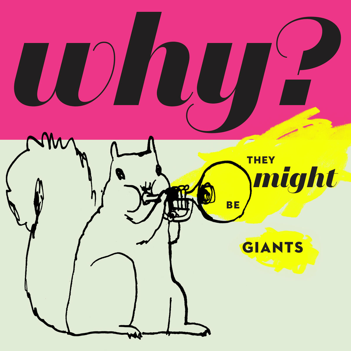 Album cover of Why?