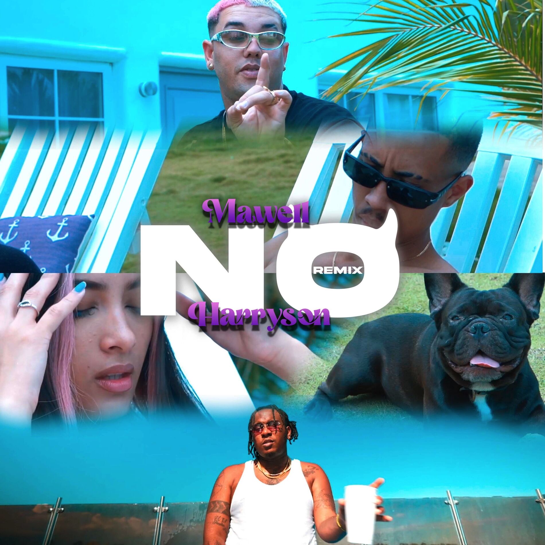 Album cover of No