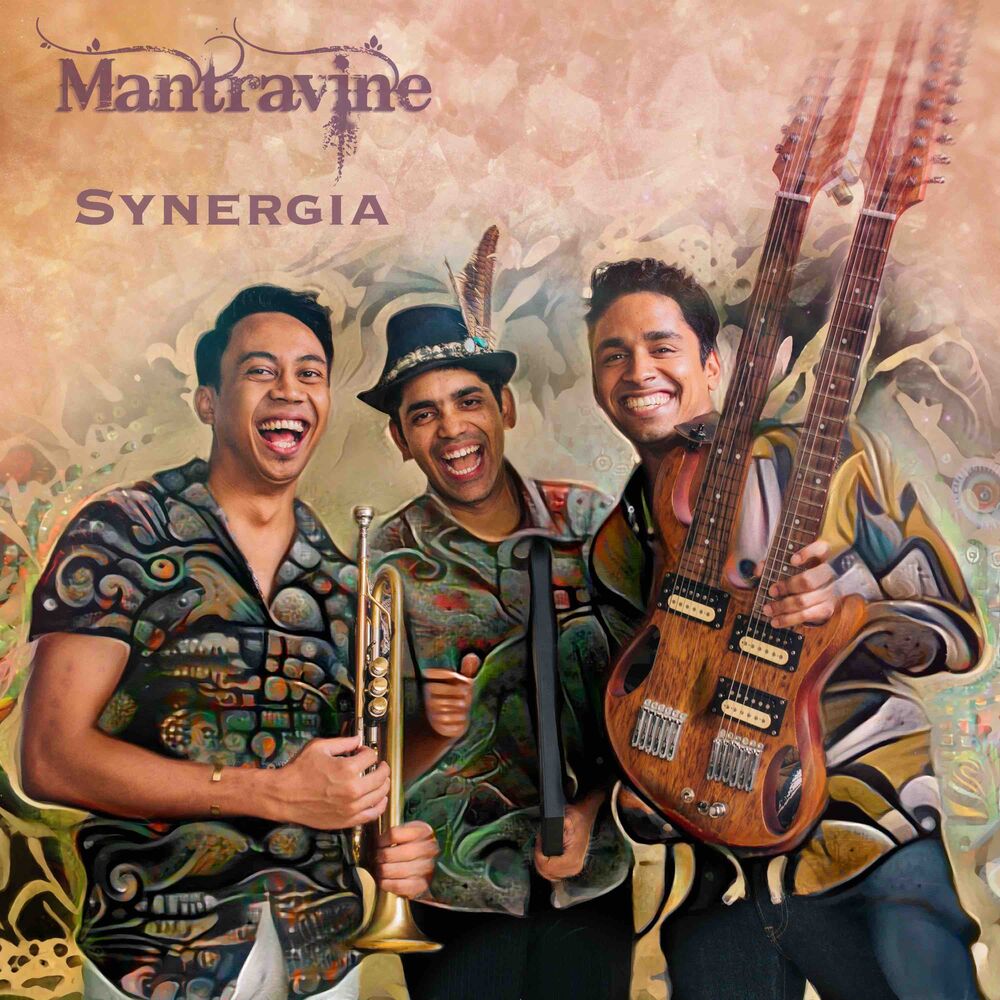 Picture of Synergia