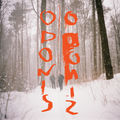 Odonis Odonis