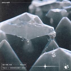 Cover of So viel Ice
