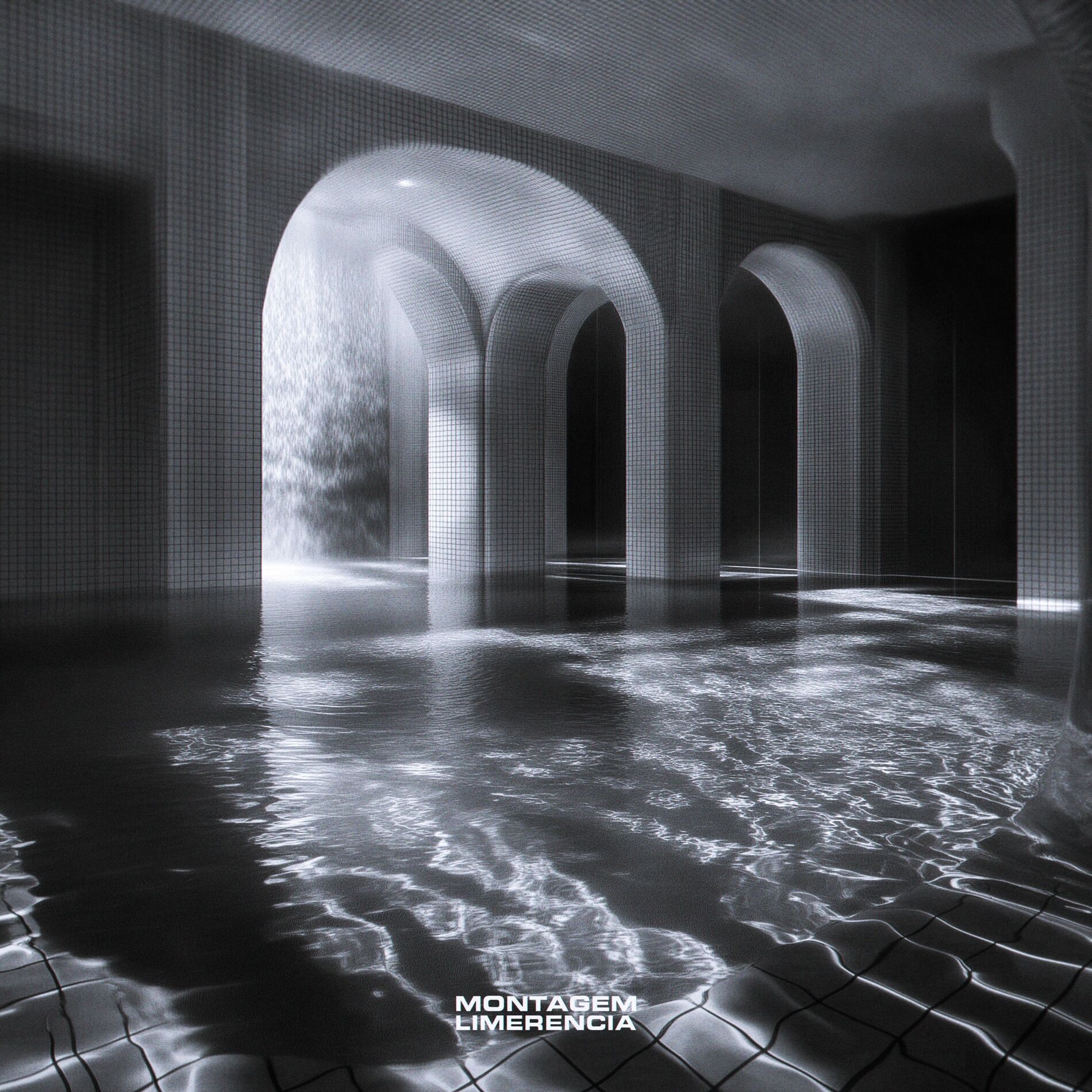 Album cover of Montagem Limerencia