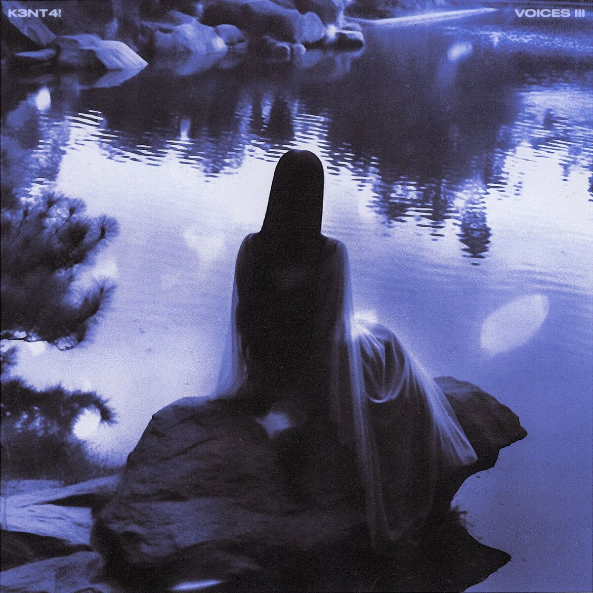Album cover of voices III