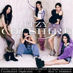 Cover of CHESHIRE