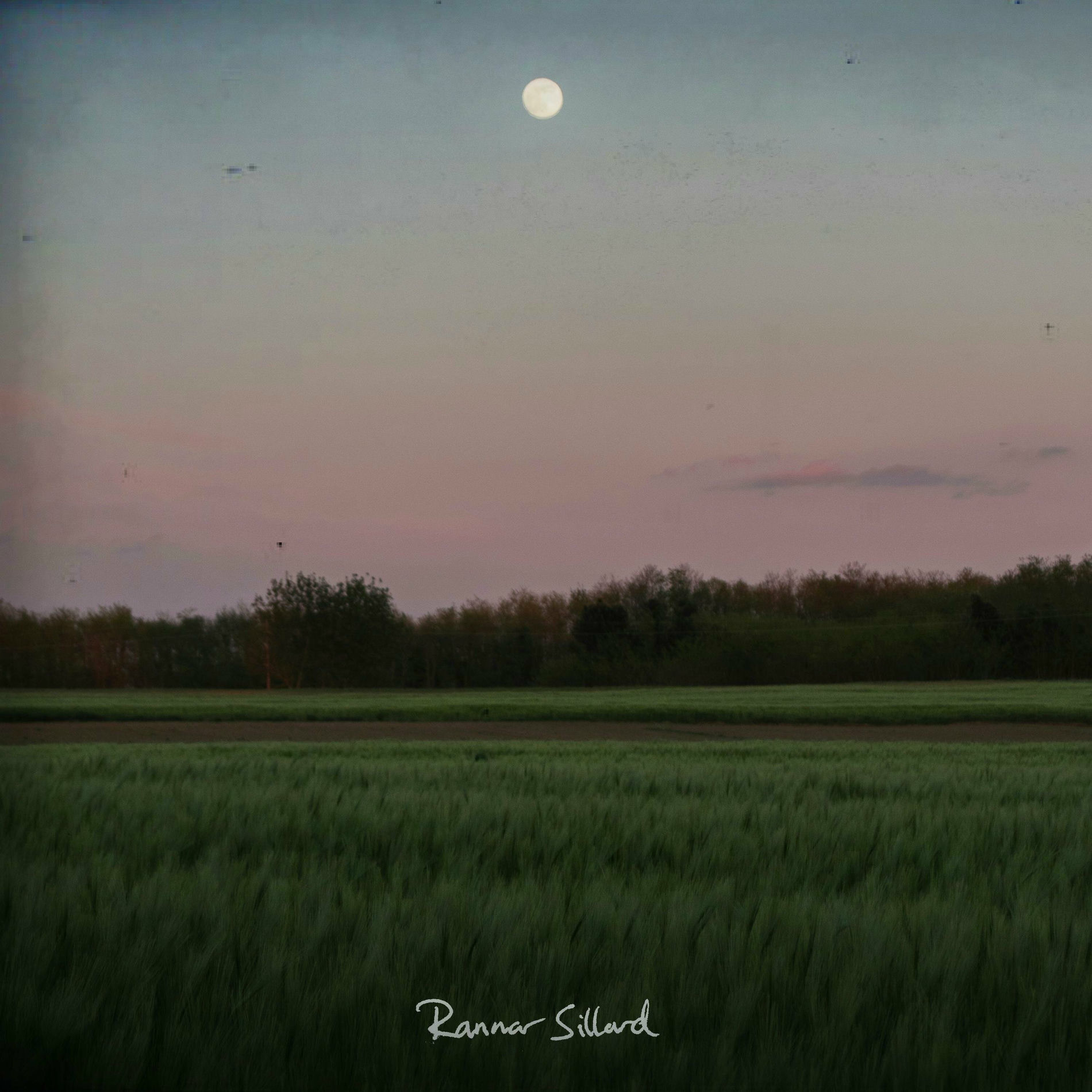 Album cover of Bliss of Solitude