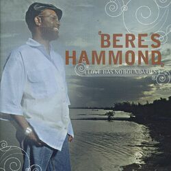 Cover of Love Has No Boundaries