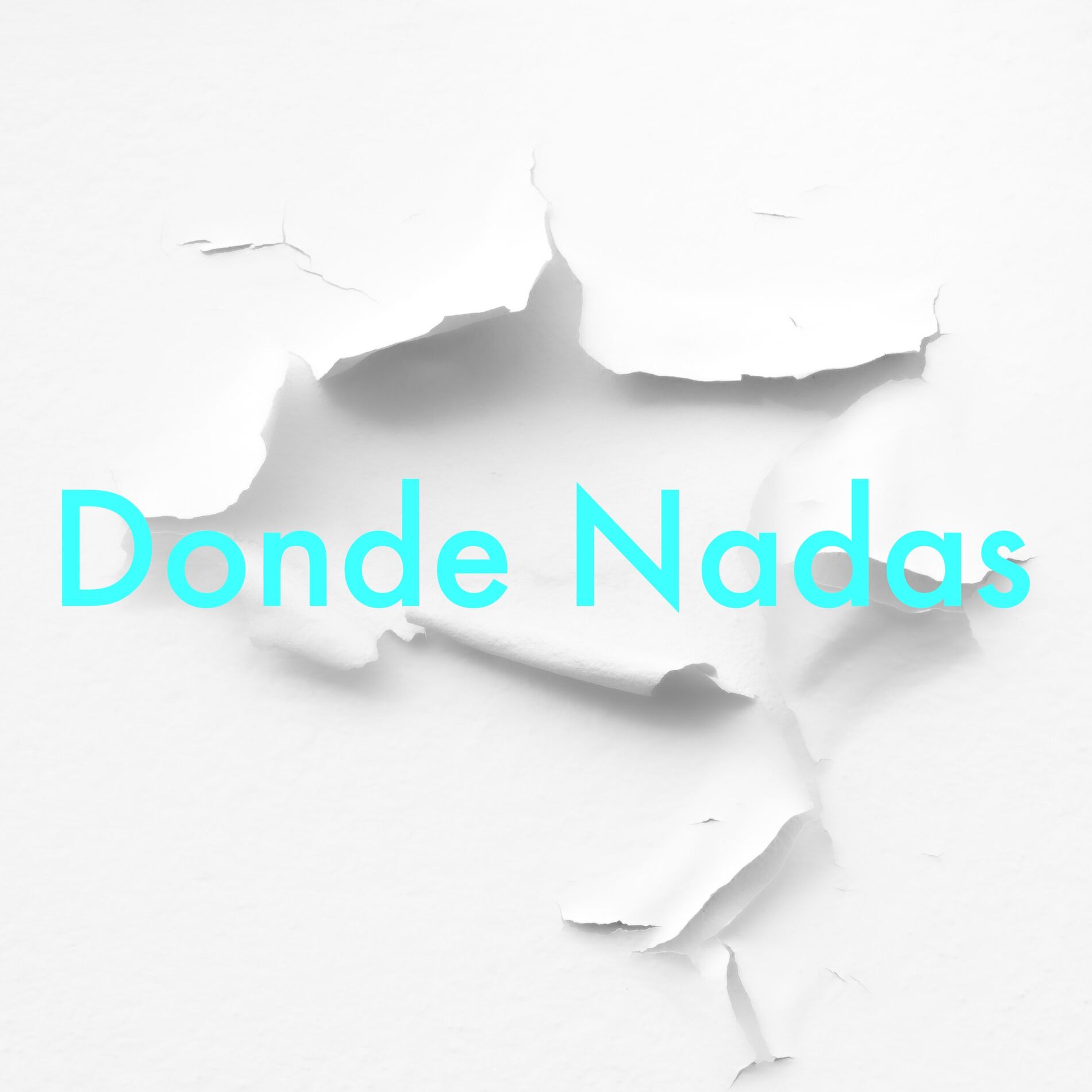 Album cover of Donde Nadas