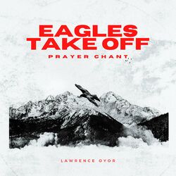 Cover of Eagles Take Off