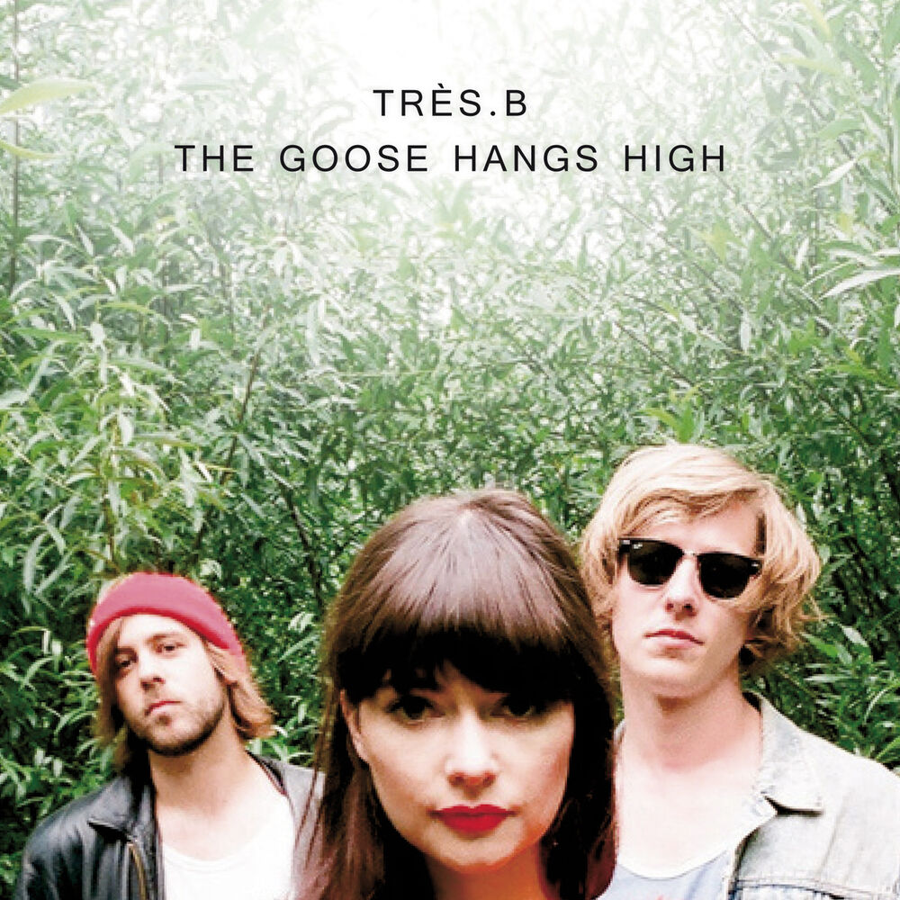 Picture of The Goose Hangs High