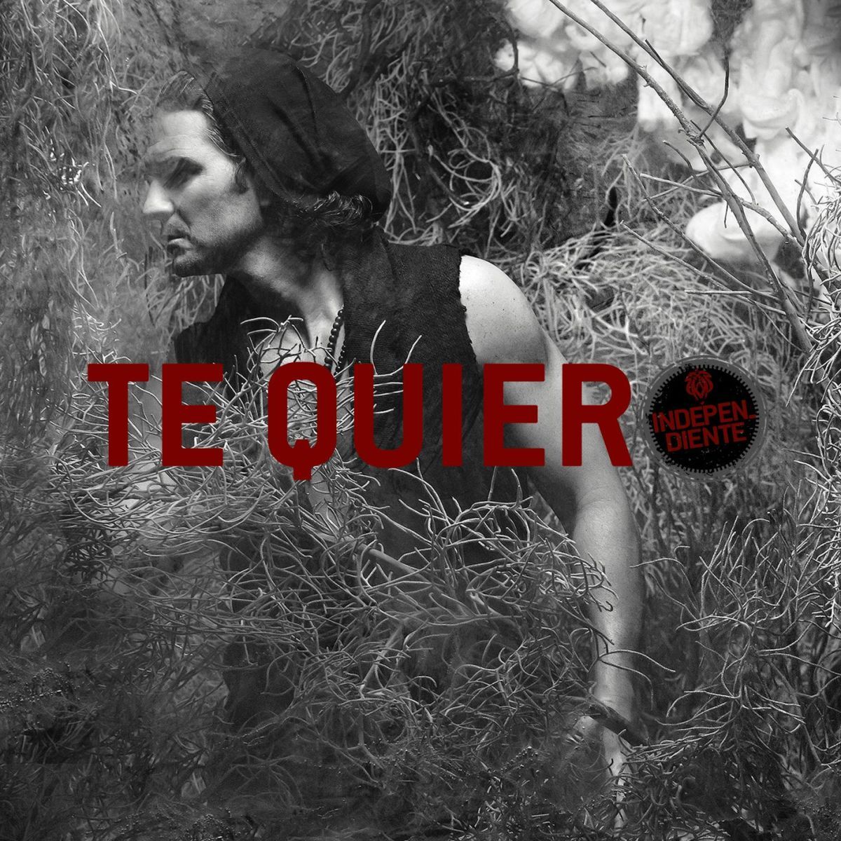 Album cover of Te quiero