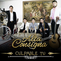 music cover