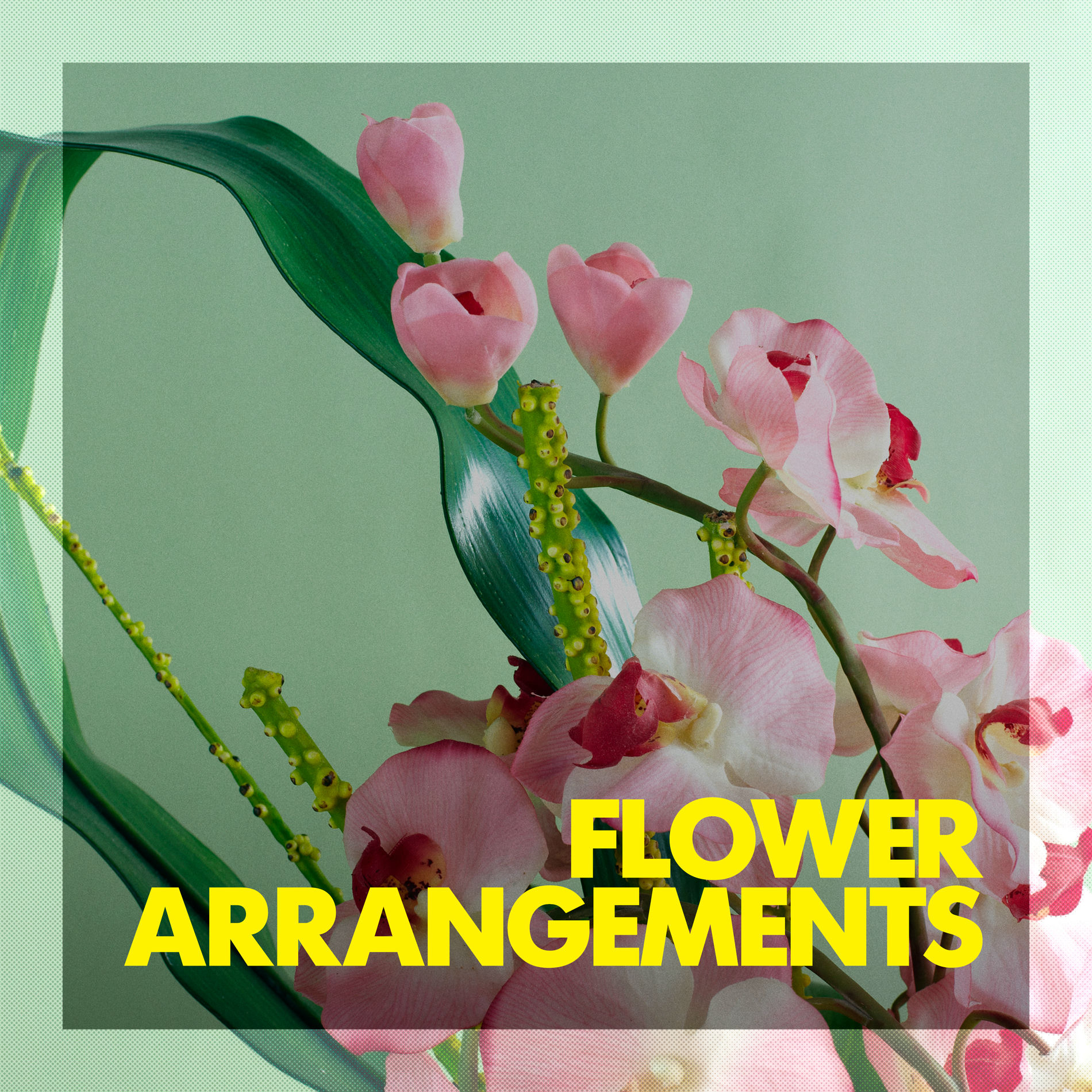 Album cover of Flower Arrangments