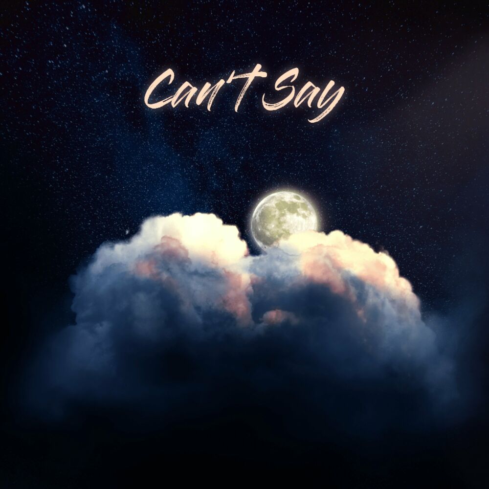 Picture of Can't Say