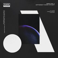 Cover of Different Moon (VIP Edit)