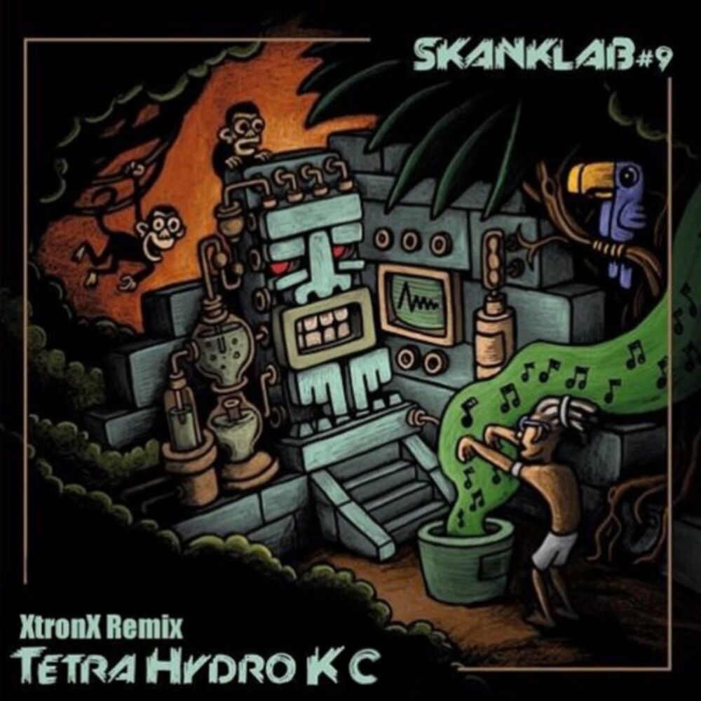 Picture of Tetrahydrok - C (Xtronx Remix)