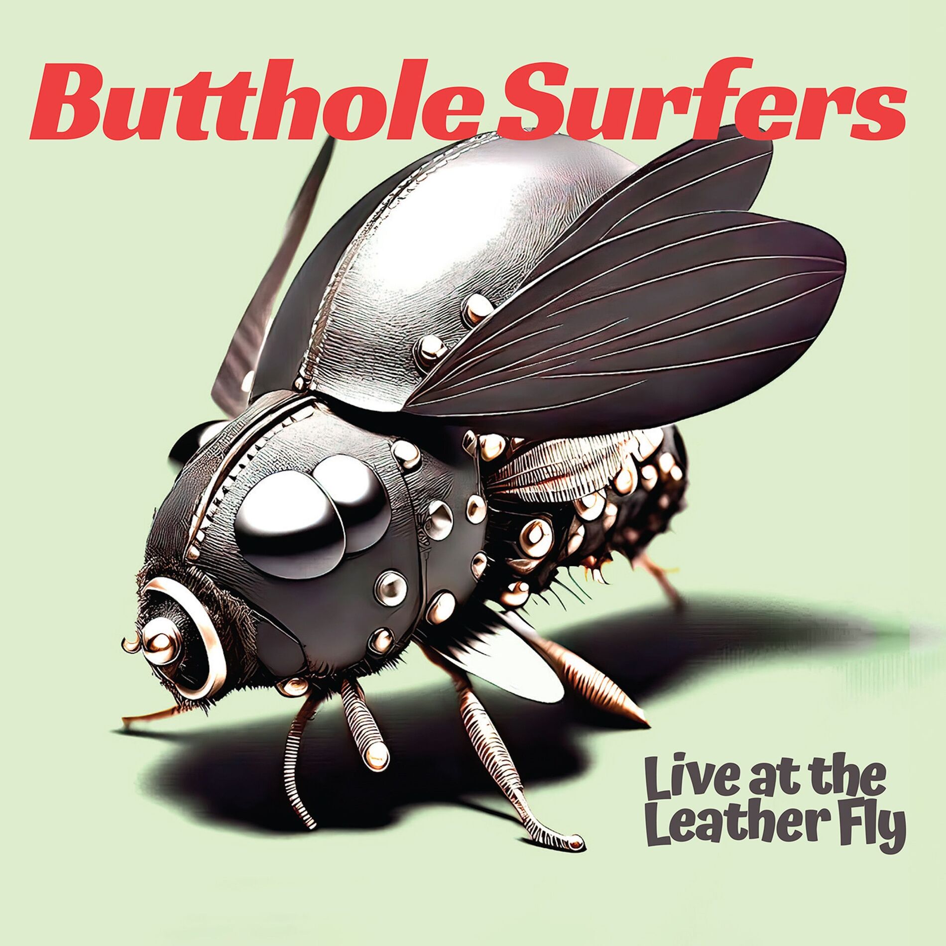 Album cover of Live at the Leather Fly