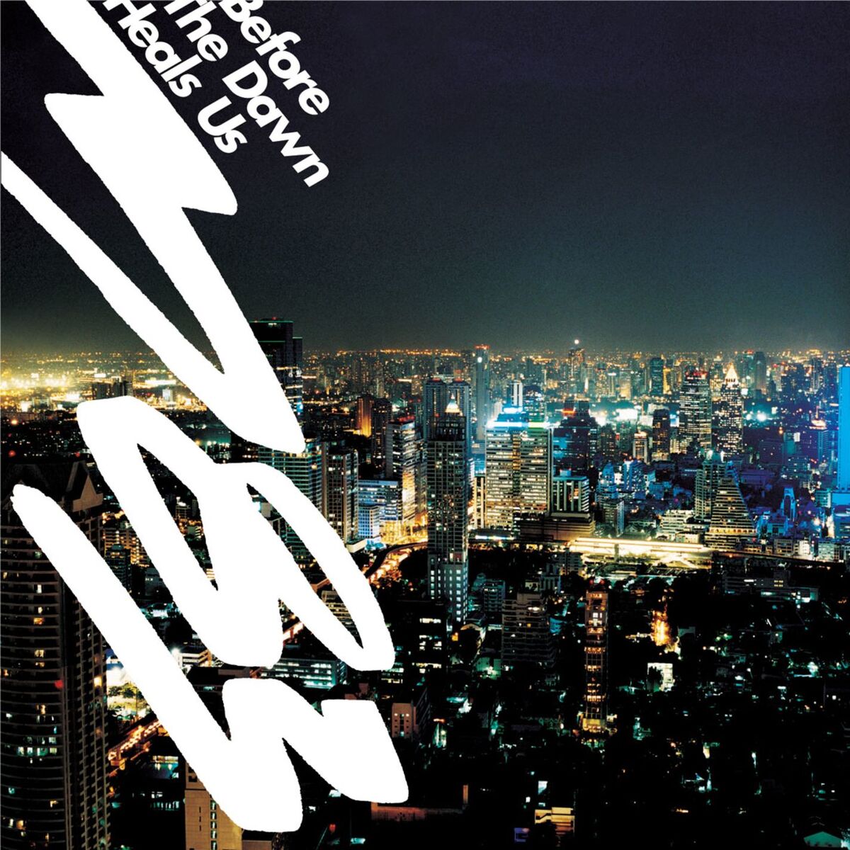 Album cover of Before The Dawn Heals Us