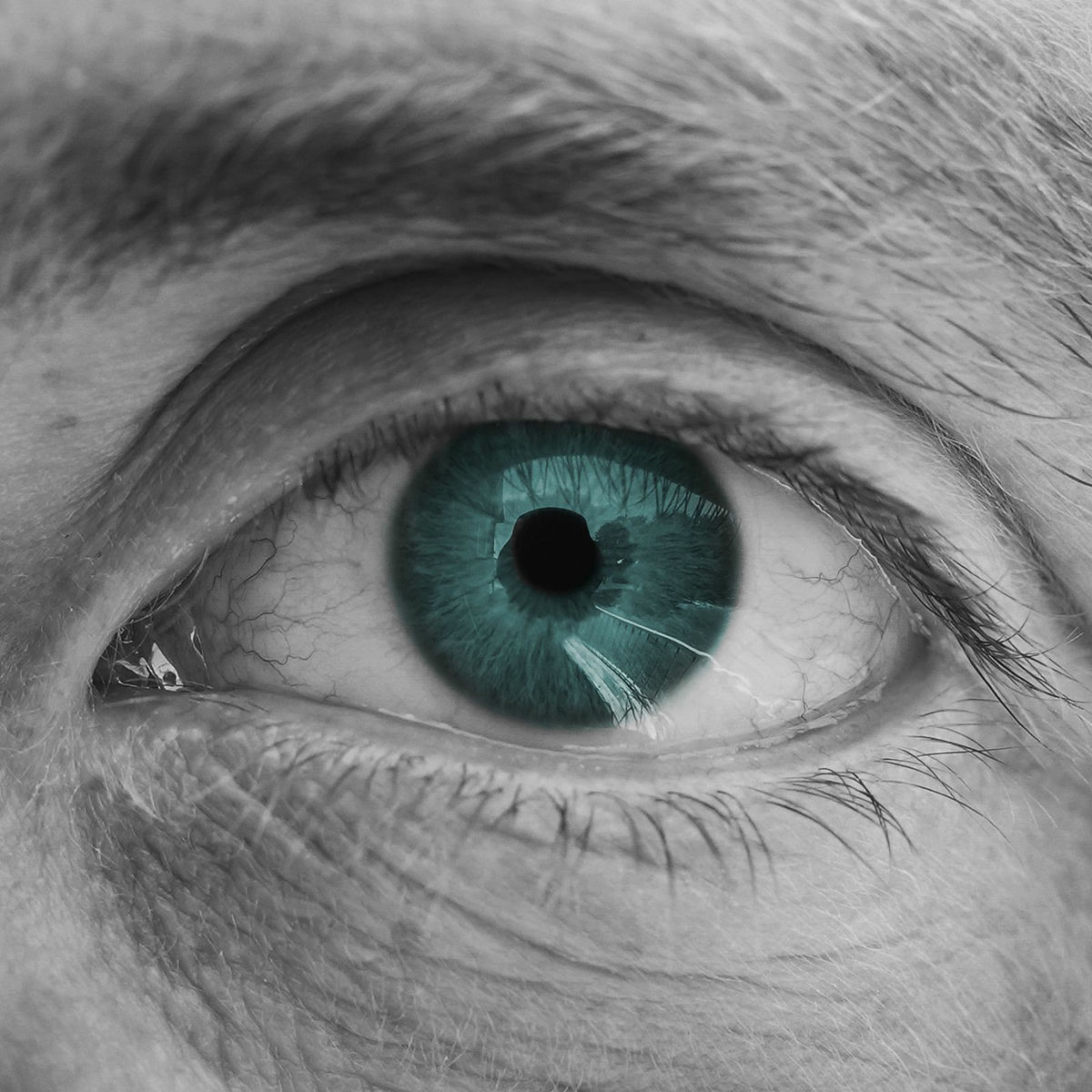 Album cover of Live Forever