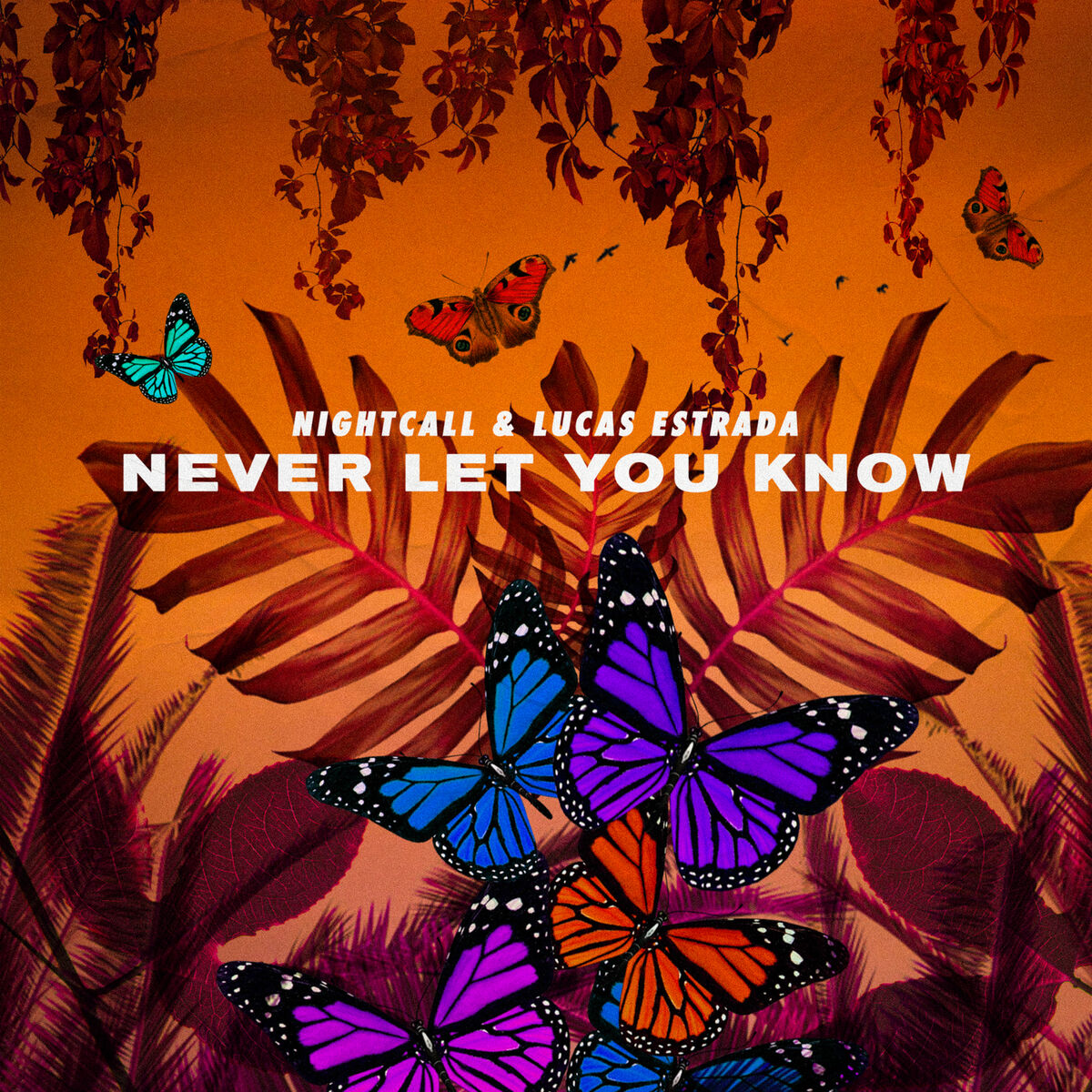 Album cover of Never Let You Know