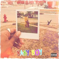 Cover of Baby Boy