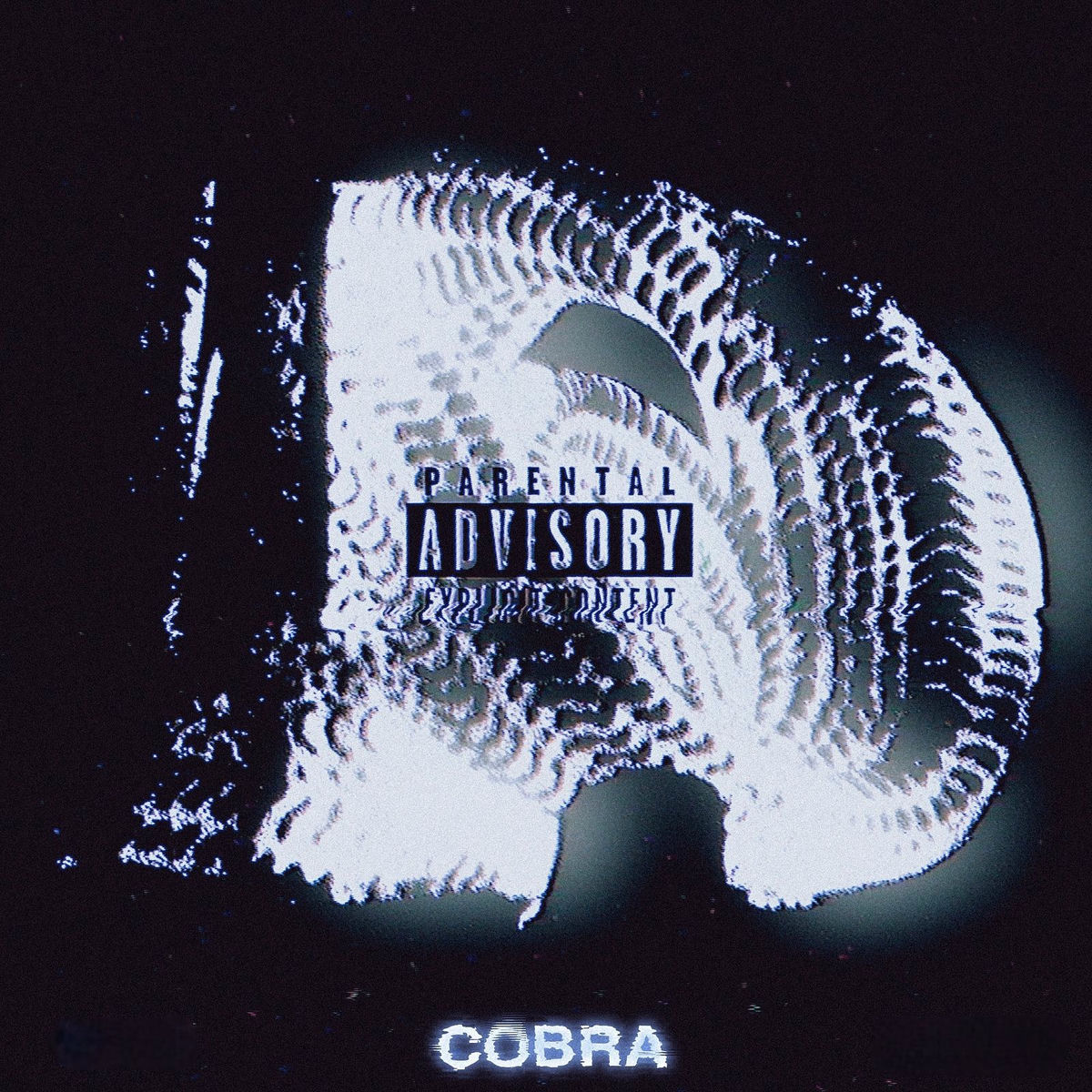 Album cover of COBRA