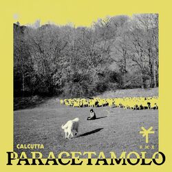 Cover of Paracetamolo (TY1 Remix)