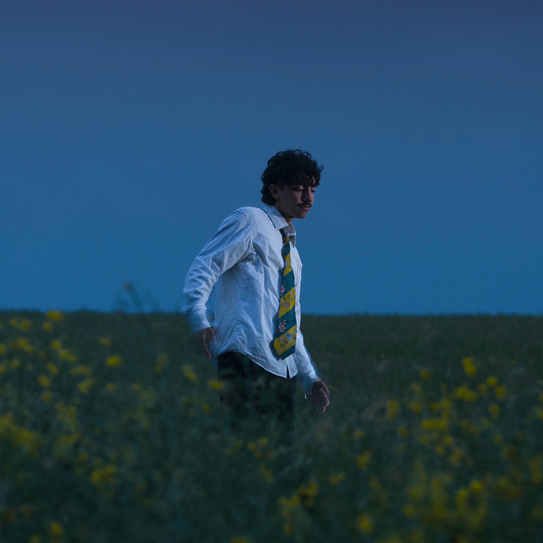 Album cover of gelesen verlassen