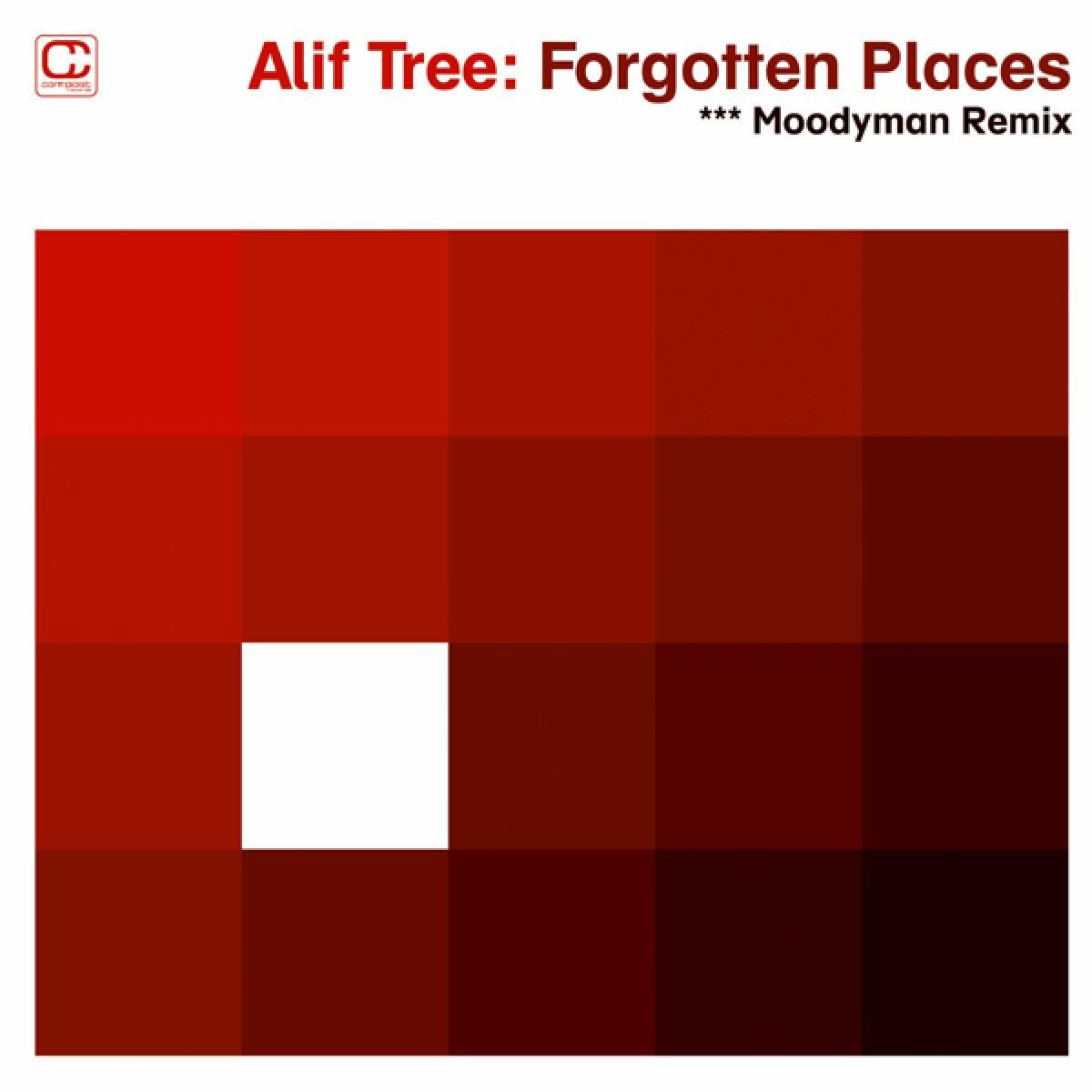 Album cover of Forgotten Places (Moodymann Remix)