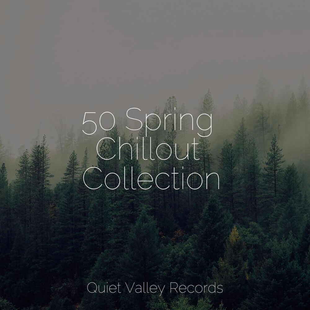Picture of 50 Spring Chillout Collection