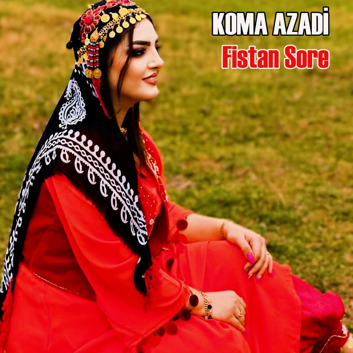 Album cover of Fistan Sore