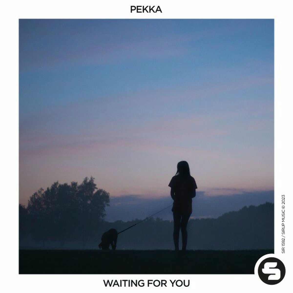Album cover of Waiting for You