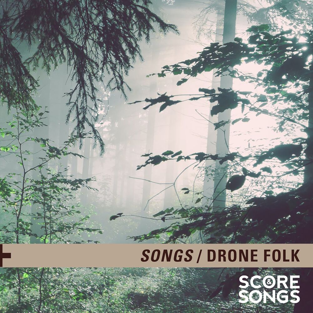Picture of Drone Folk Songs