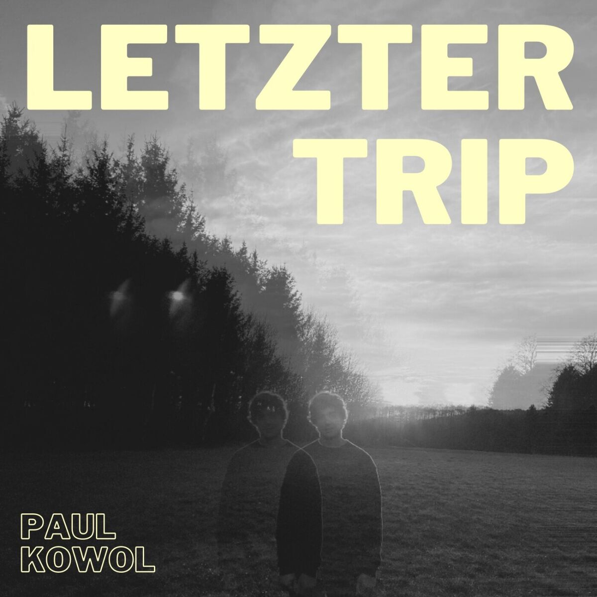 Album cover of Letzter Trip (Akustik Version)