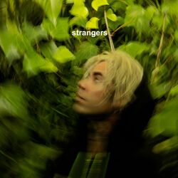Cover of Strangers
