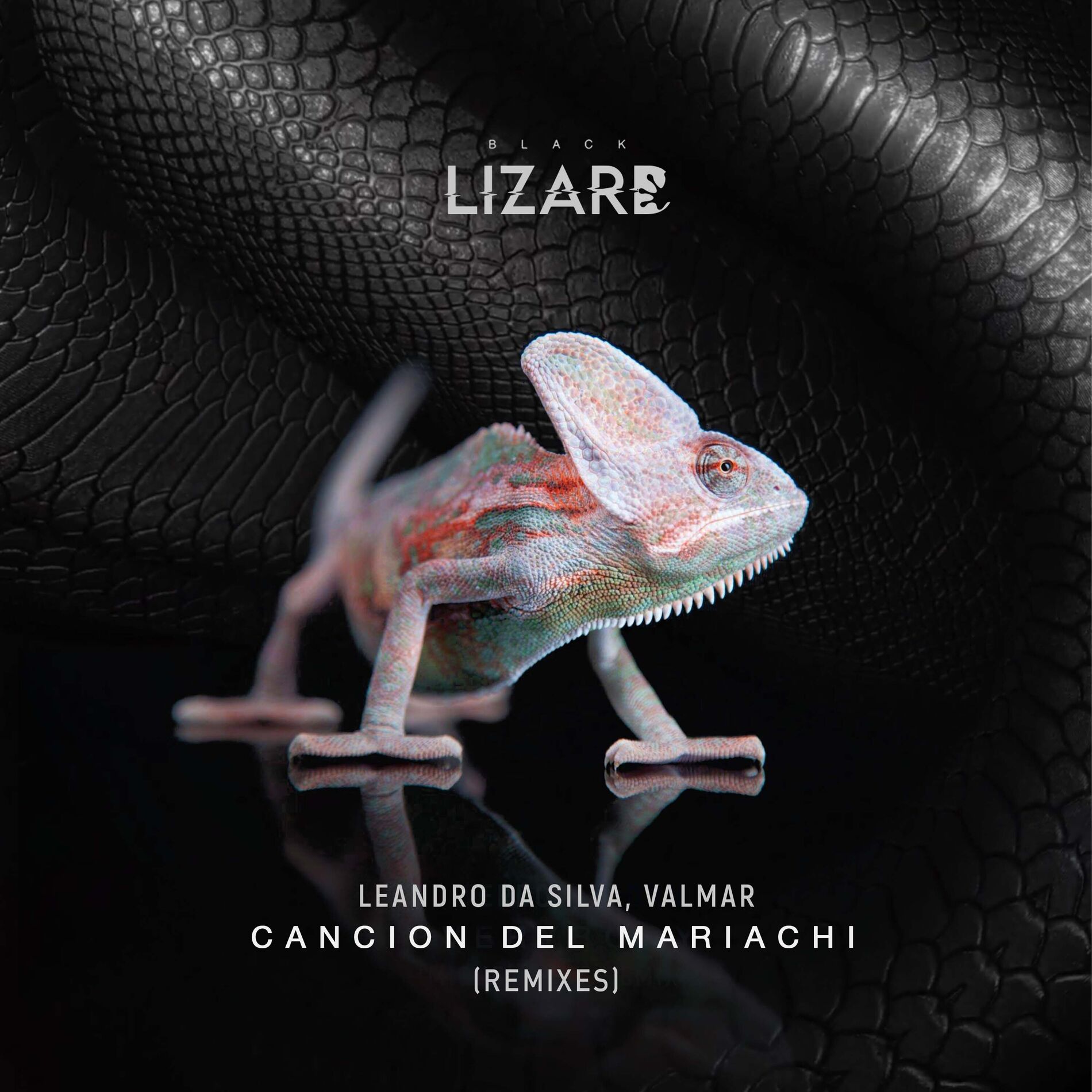 Album cover of Cancion Del Mariachi 